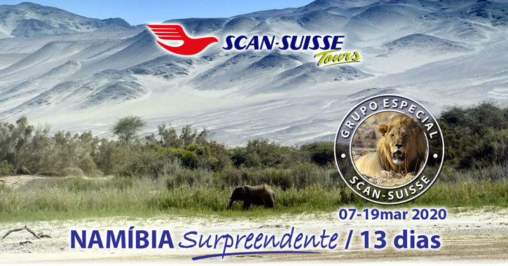 Header Namíbia Safári